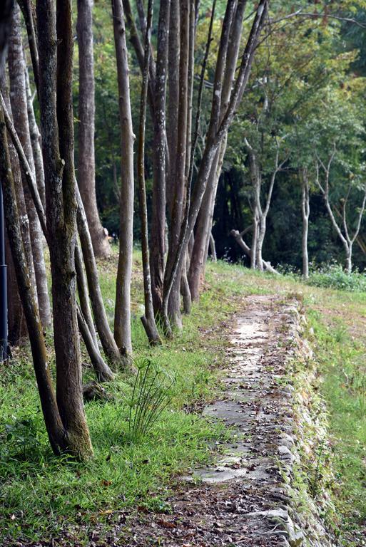 Sun Moon Lake Bamboo Rock Garden Yuchi Exterior foto